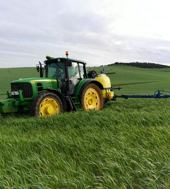 jesus-burdalo-inicio4